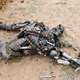 Illustration for article titled Brilliant New Terminator Salvation Pics, And A Sarah Connor Chronicles Clip!